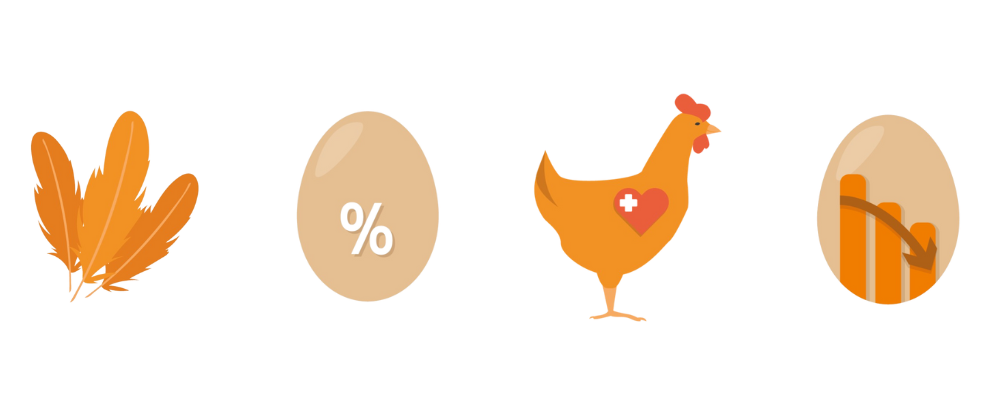 Accompagnement terrain