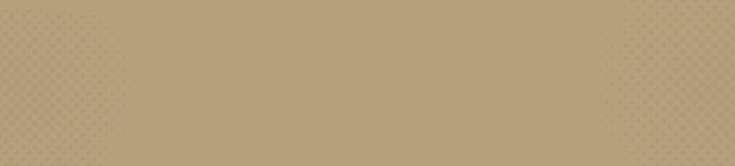 bandeau-header-brown