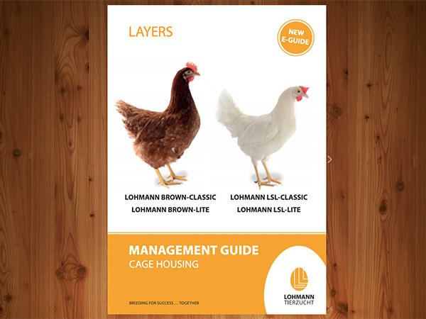 E-guide cage - Lohmann France