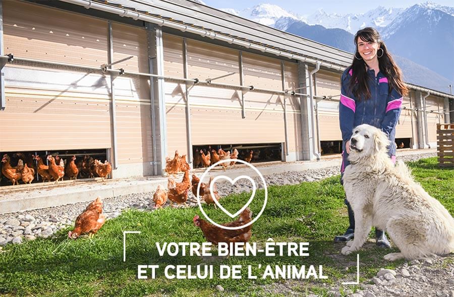 Egagement-7---Votre-bien-être-et-celui-de-l'animal-
