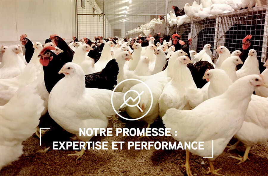 Engagement-2---Notre-promesse-expertise-et-performance