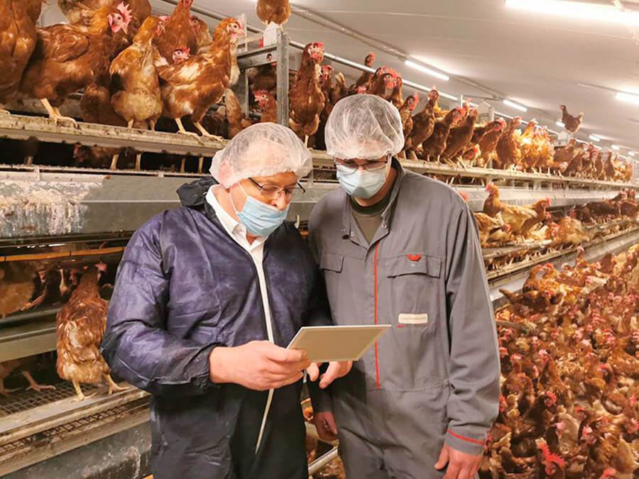 Expertise-Optimisation-des-performances-lohmann-France