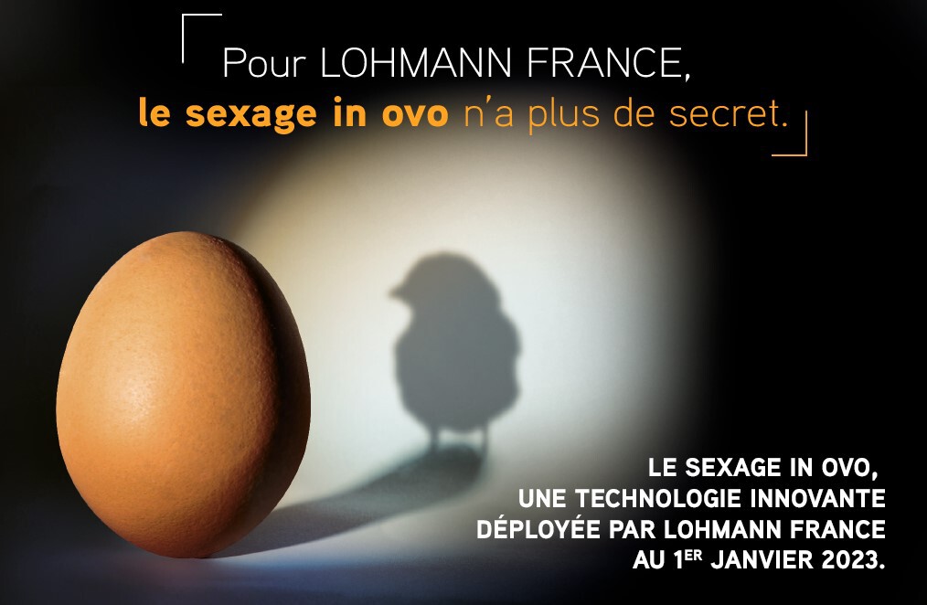 filière avicole - ovosexage - lohmann france