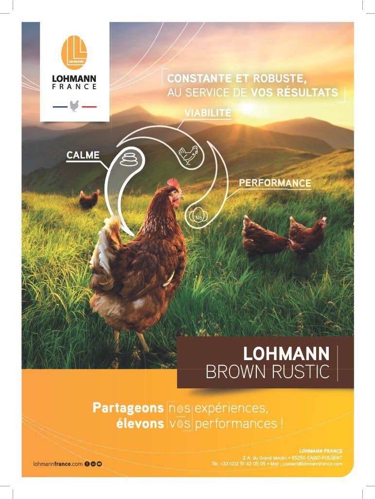 lohmann brown rustic- lohmann france