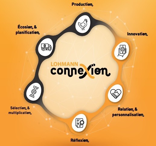 Lohmann CONNEXION