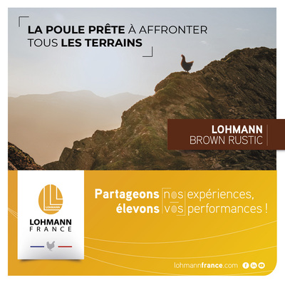 Lohmann Brown Rustic Actu 400