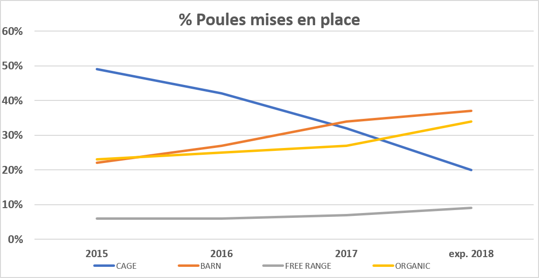 marche_poules_mises_en_place
