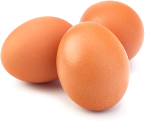 oeufs____051195300_1533_31072017