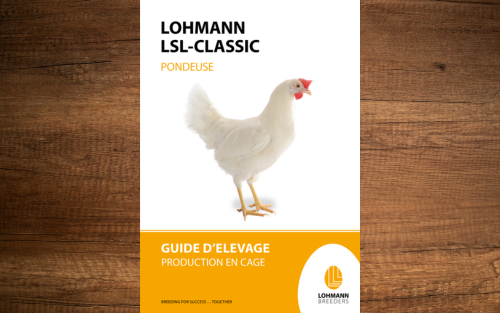 Picto_LSL_Classic