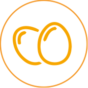 picto-oeufs
