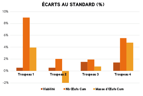 Stats Rustic fev2022