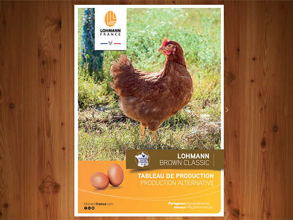 Tableau de bord Lohmann Brown Classic Alternatif 2021