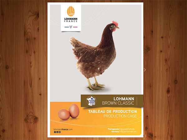 Tableau de bord Lohmann Brown Classic cage 2021