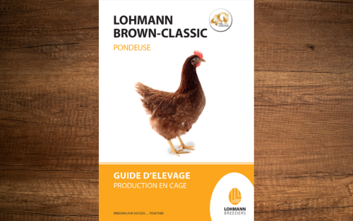 Picto_brown_classic