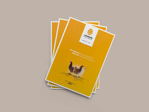 PLAQUETTE-COMMERCIALE