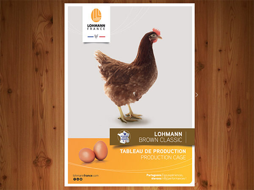 Tableau de bord Lohmann Brown Classic cage 2021